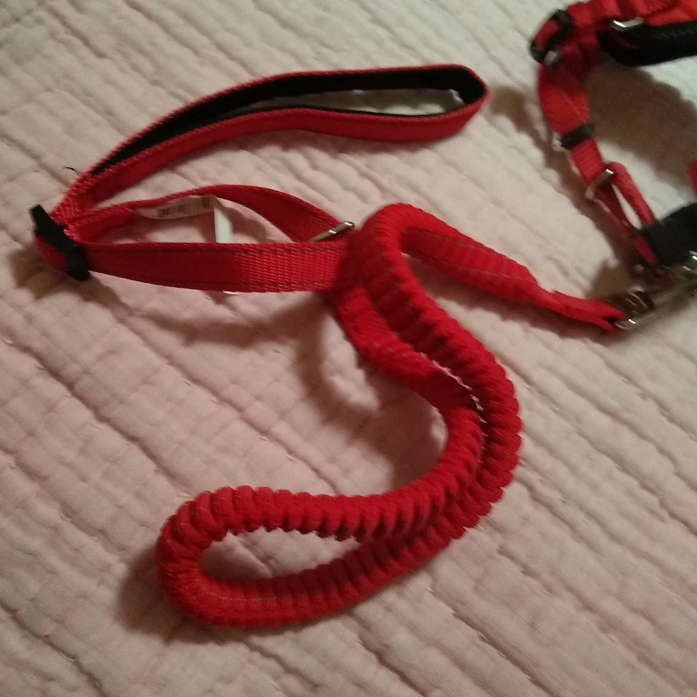 Red Cat Harness and Leash Set